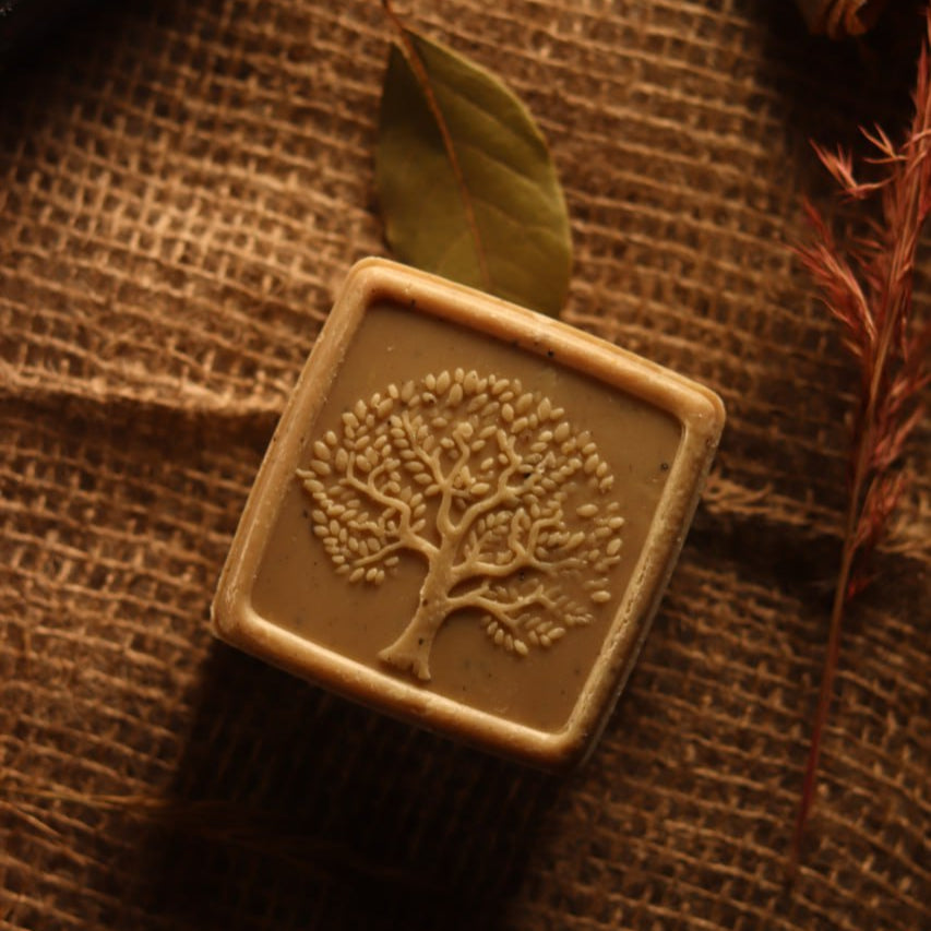 From Bottle to Bar: 5 Reasons to Switch to Solid Shampoo